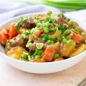 Bowl of hearty bear meat stew with potatoes, carrots, and green onions, garnished and ready to eat.