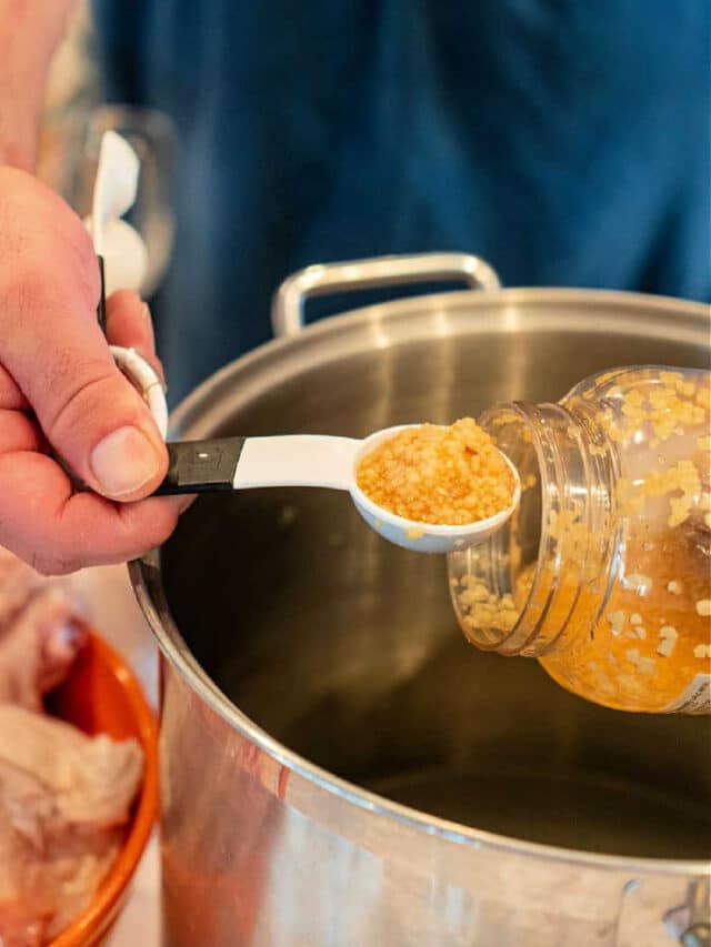 Smoked Chicken Breast 225 Traeger Bone In Chicken Breast