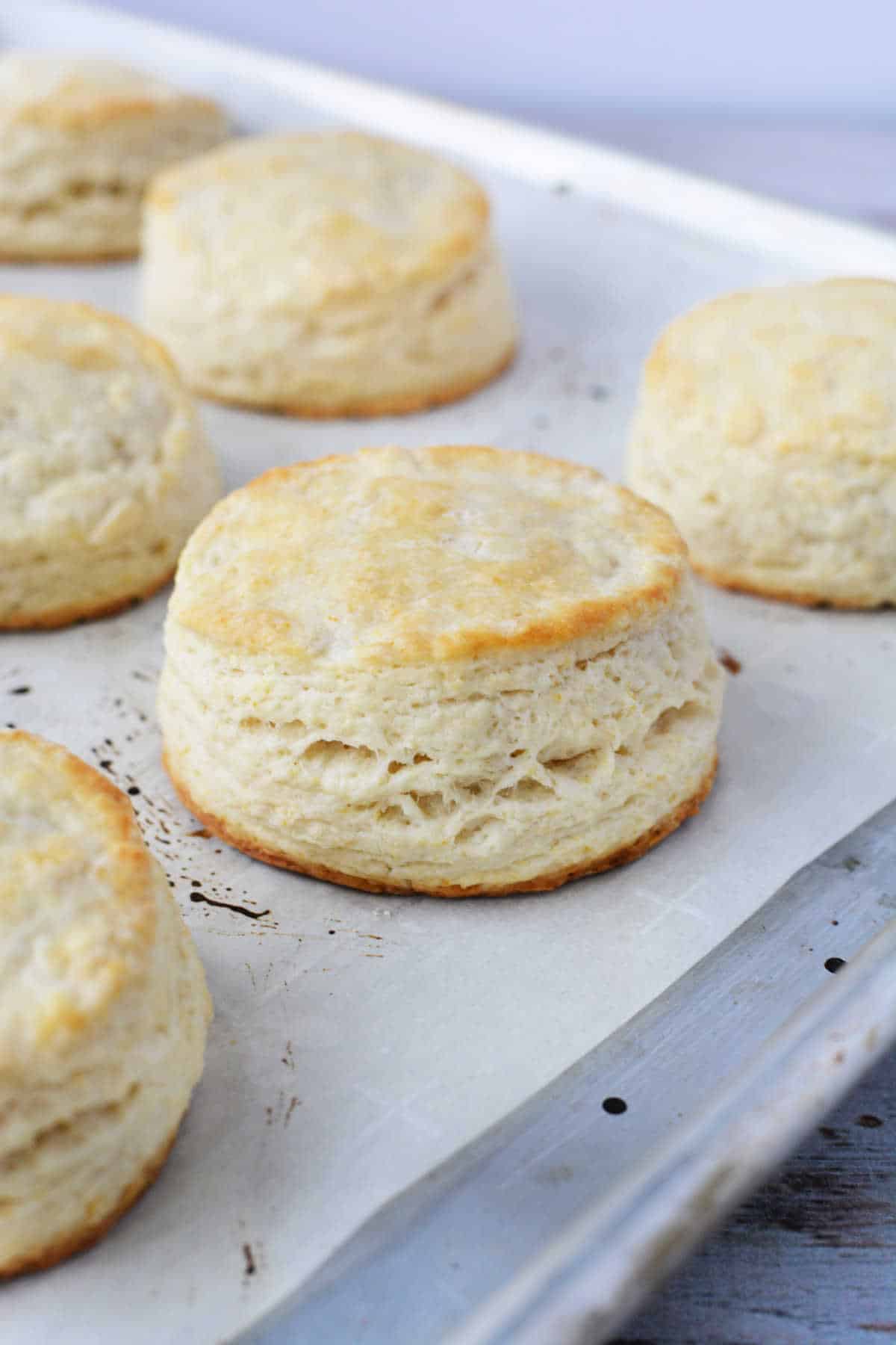 Copycat Whataburger Honey Butter Chicken Biscuit Recipe