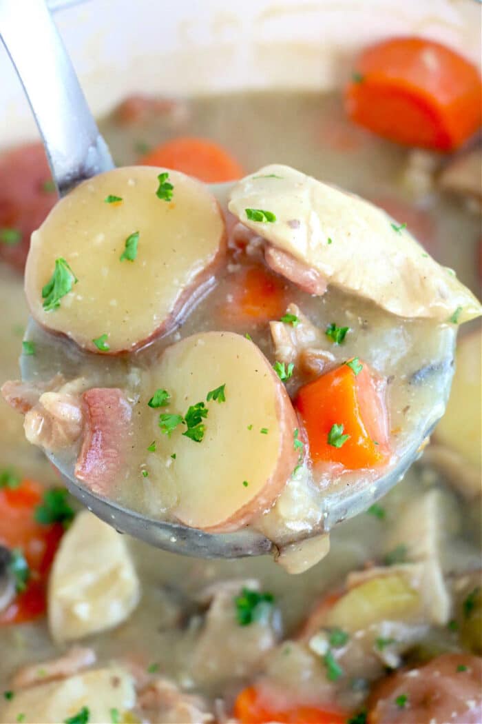 Creamy Chicken Stew