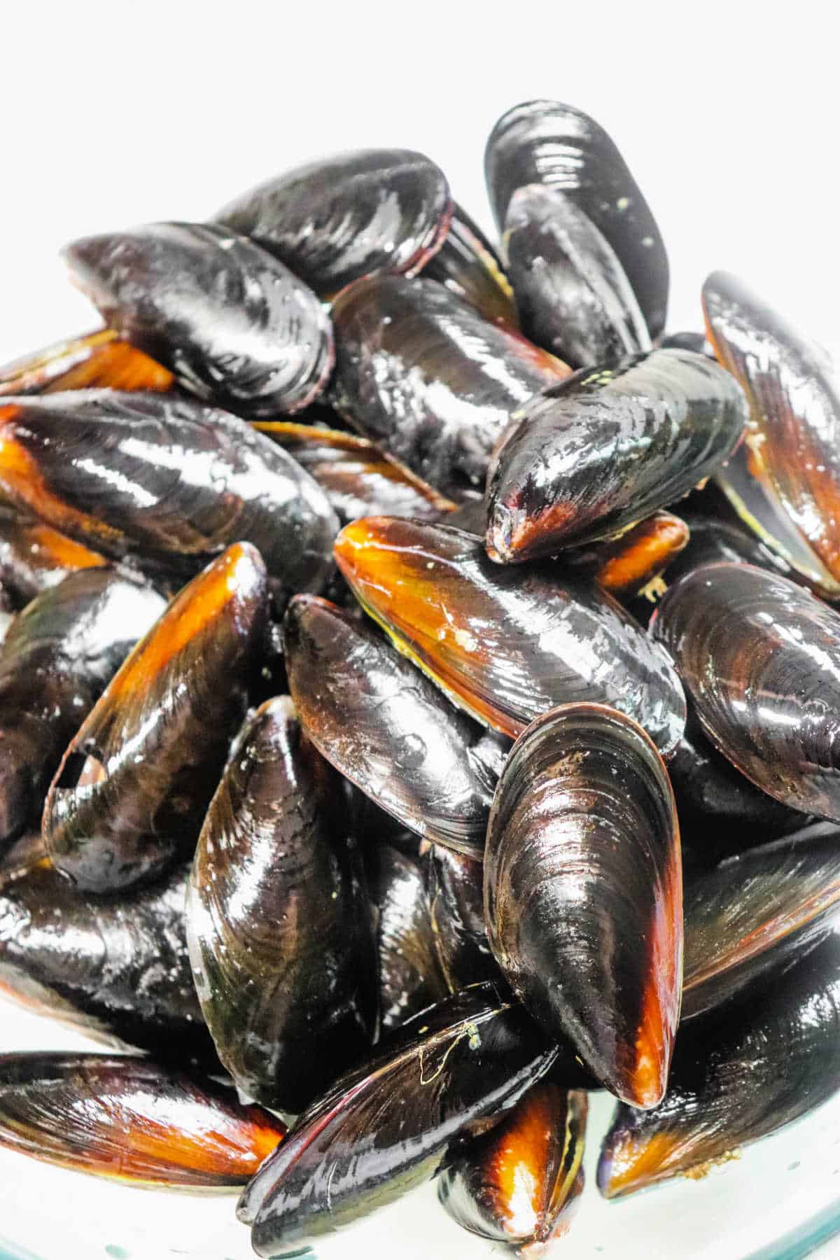 How to Cook Frozen Mussels Smoked, Boiled, Pressure Cooker