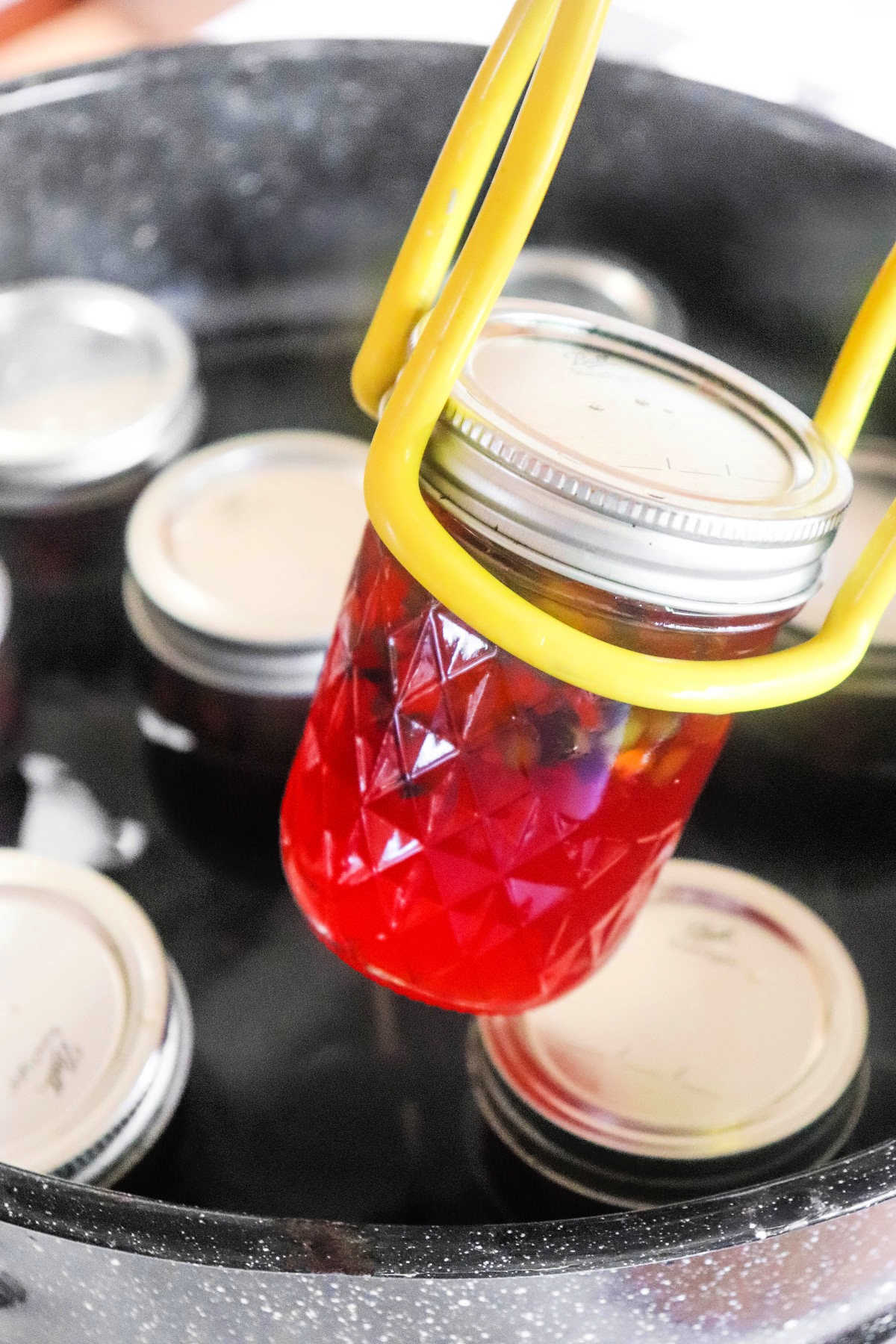 How to Make Plum Jelly with Sure Jell - Homemade Plum Jelly