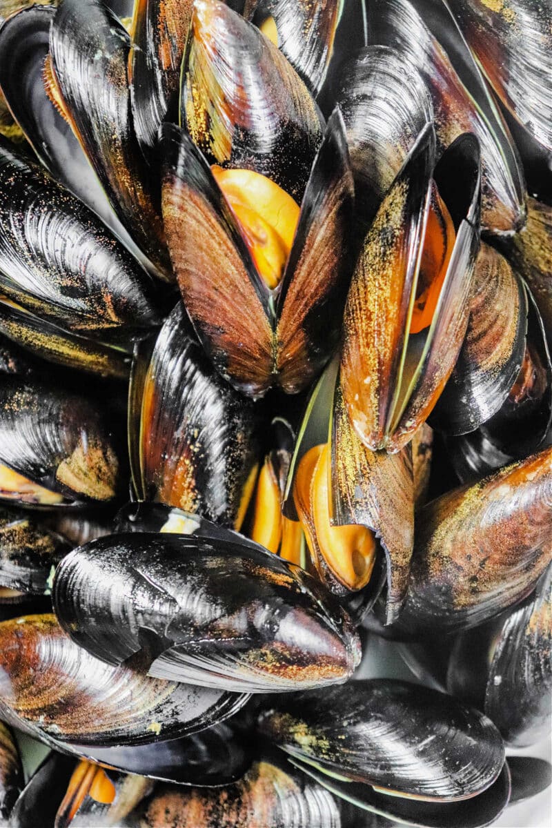 How to Cook Frozen Mussels Smoked, Boiled, Pressure Cooker
