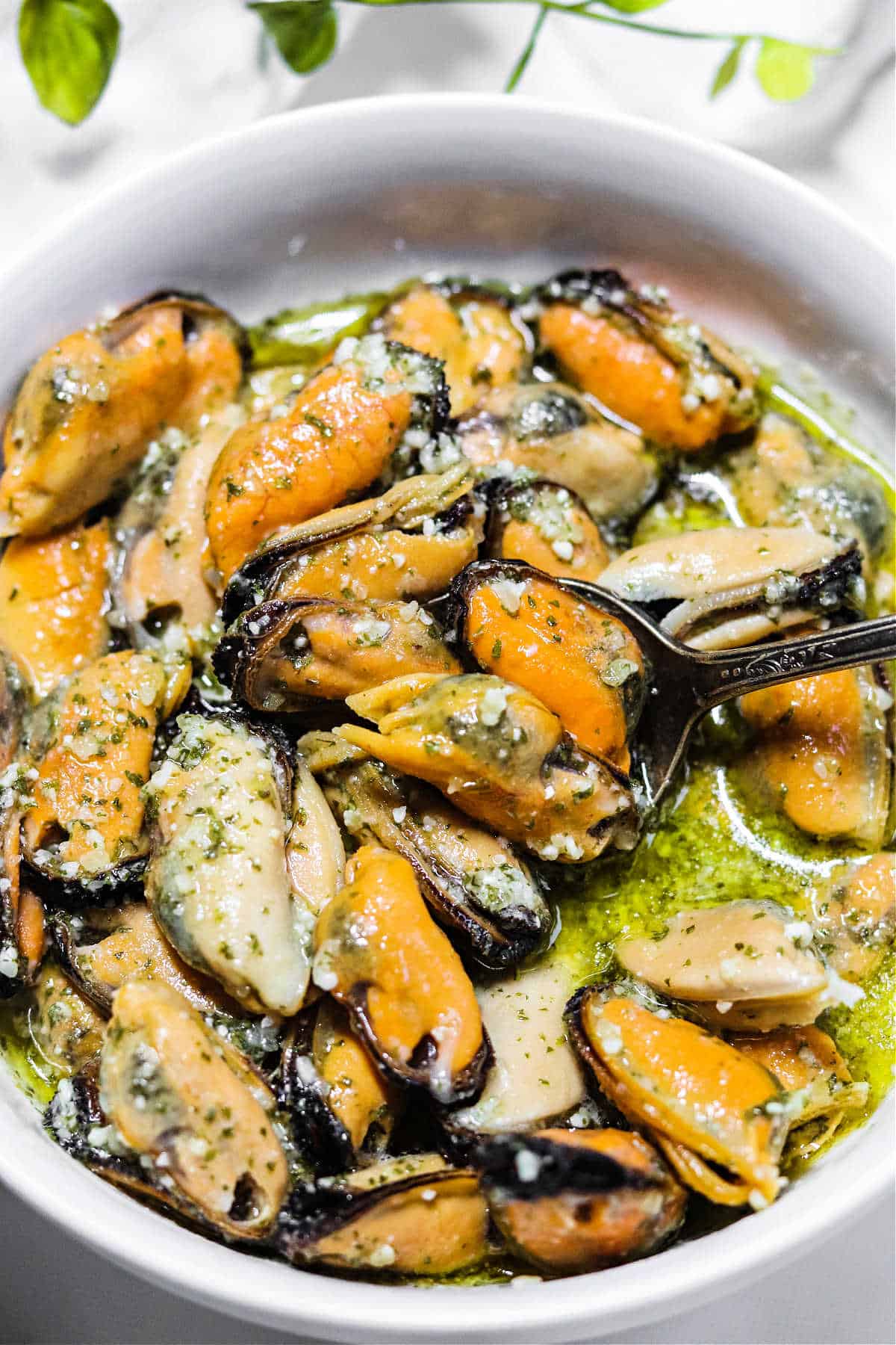 How to Cook Frozen Mussels - Smoked, Boiled, Pressure Cooker