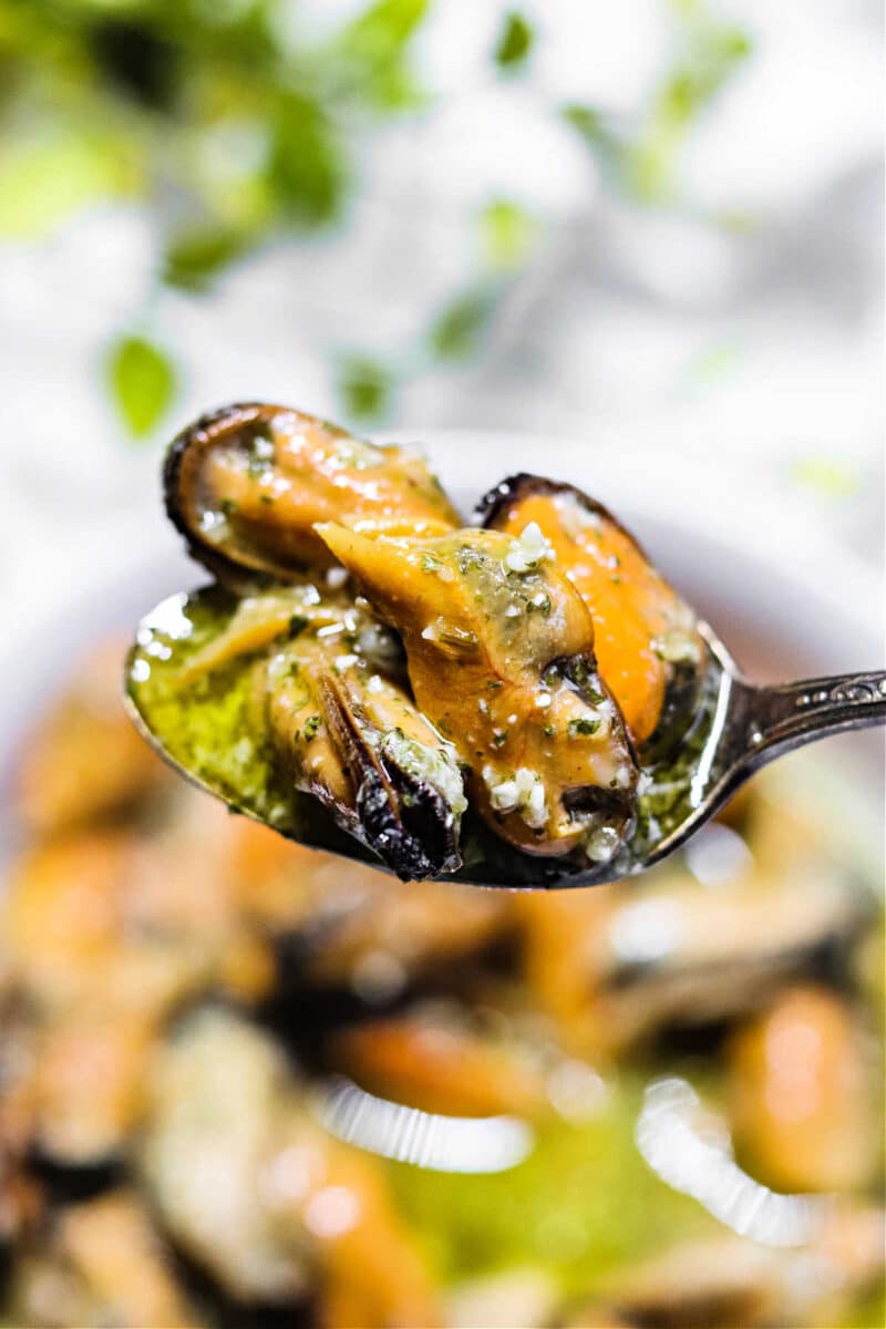 How to Cook Frozen Mussels Smoked, Boiled, Pressure Cooker