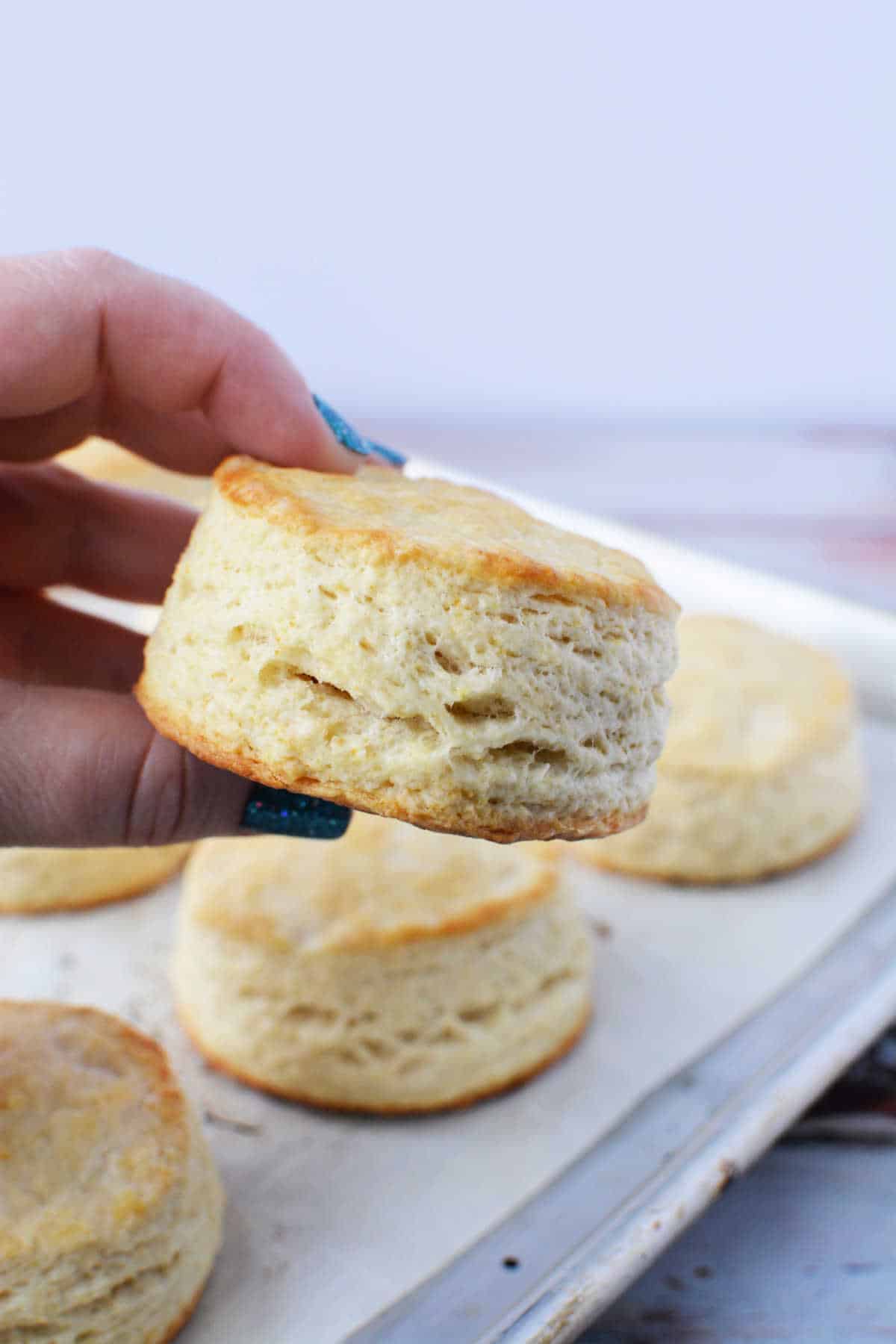 Copycat Whataburger Honey Butter Chicken Biscuit Recipe