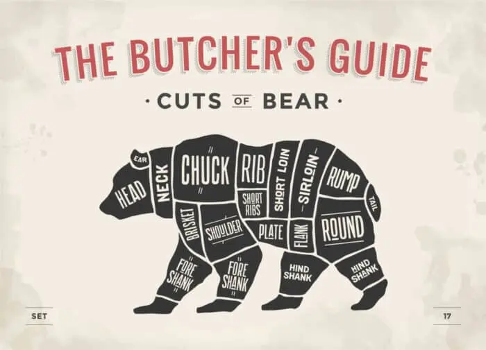 Illustration titled "The Butcher's Guide: Cuts of Bear Meat," featuring a bear silhouette divided into sections labeled with different cuts, such as chuck, rib, loin, and shank, reminiscent of a traditional meat chart for butchering.