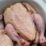 A pair of raw Cornish hens rests in a white crockpot, primed for slow cooker perfection.