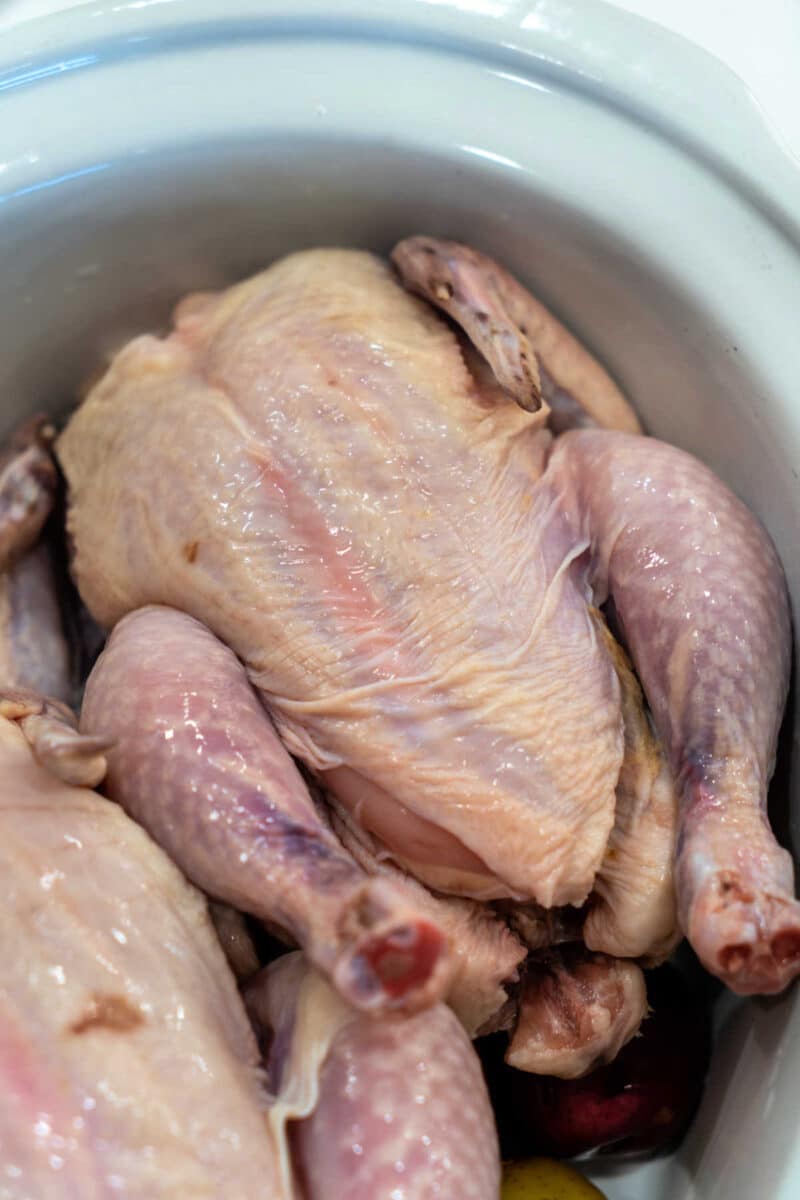 Slow Cooker Cornish Hens + How to Cook Frozen Cornish Hens