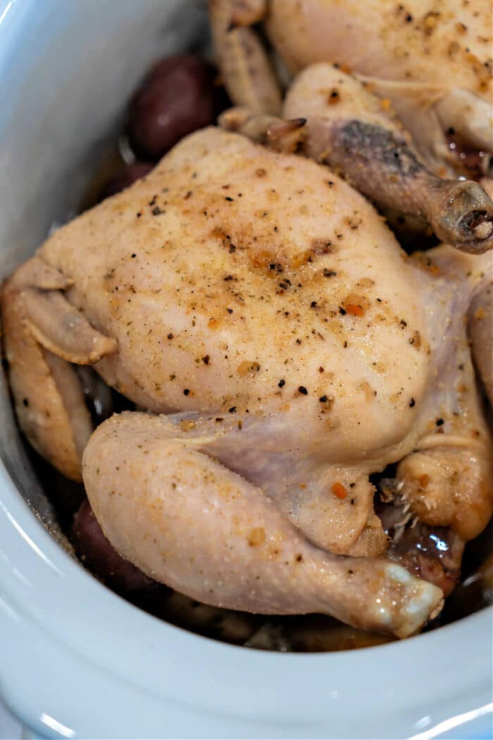 Instant pot cornish discount game hens frozen