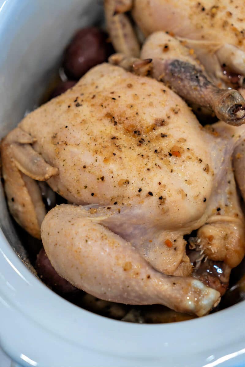 Slow Cooker Cornish Hens + How to Cook Frozen Cornish Hens