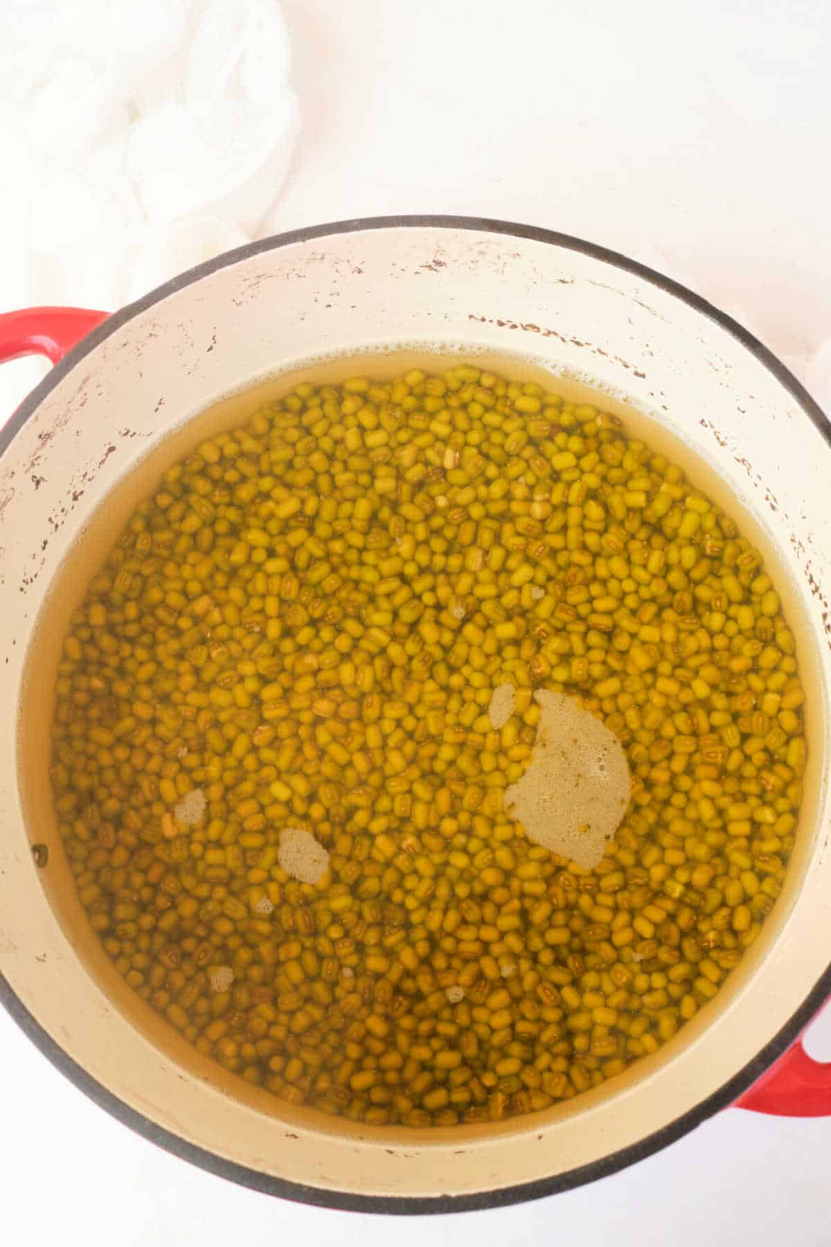 How to Cook Mung Beans on Stove, Slow Cooker, Rice Cooker