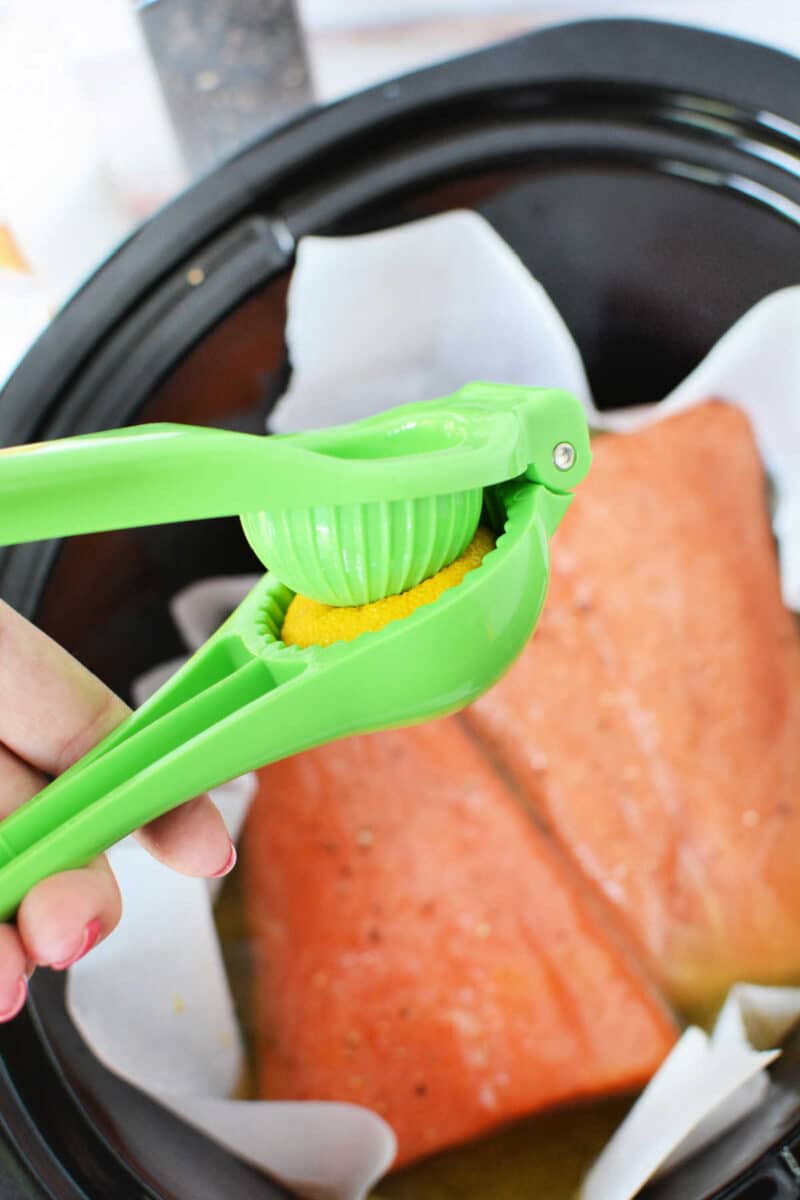 Crockpot Salmon Slow Cooker Salmon Teriyaki or with Lemon