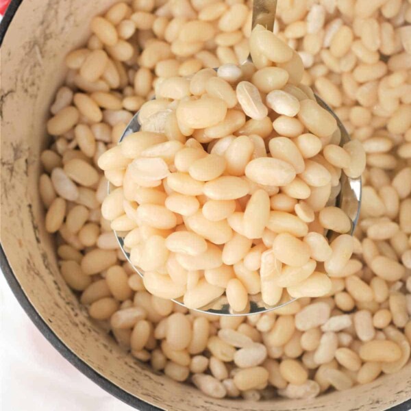 A ladle lifts cooked navy beans from a pot, showcasing their soft texture and pale color, a testament to mastering how to cook navy beans perfectly.