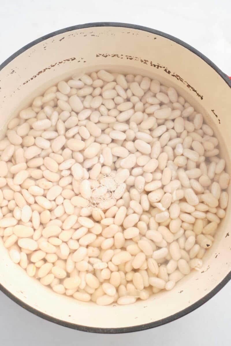 How to Cook Navy Beans on Stove, in Slow Cooker, Instant Pot