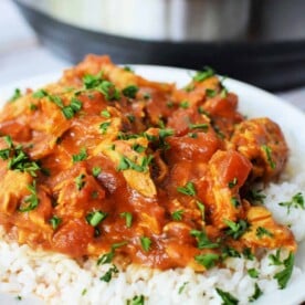 Instant Pot Curry