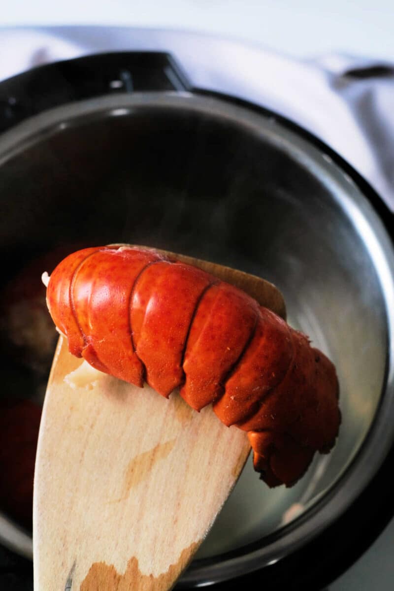 Fresh or Frozen Instant Pot Lobster Tail Ninja Foodi
