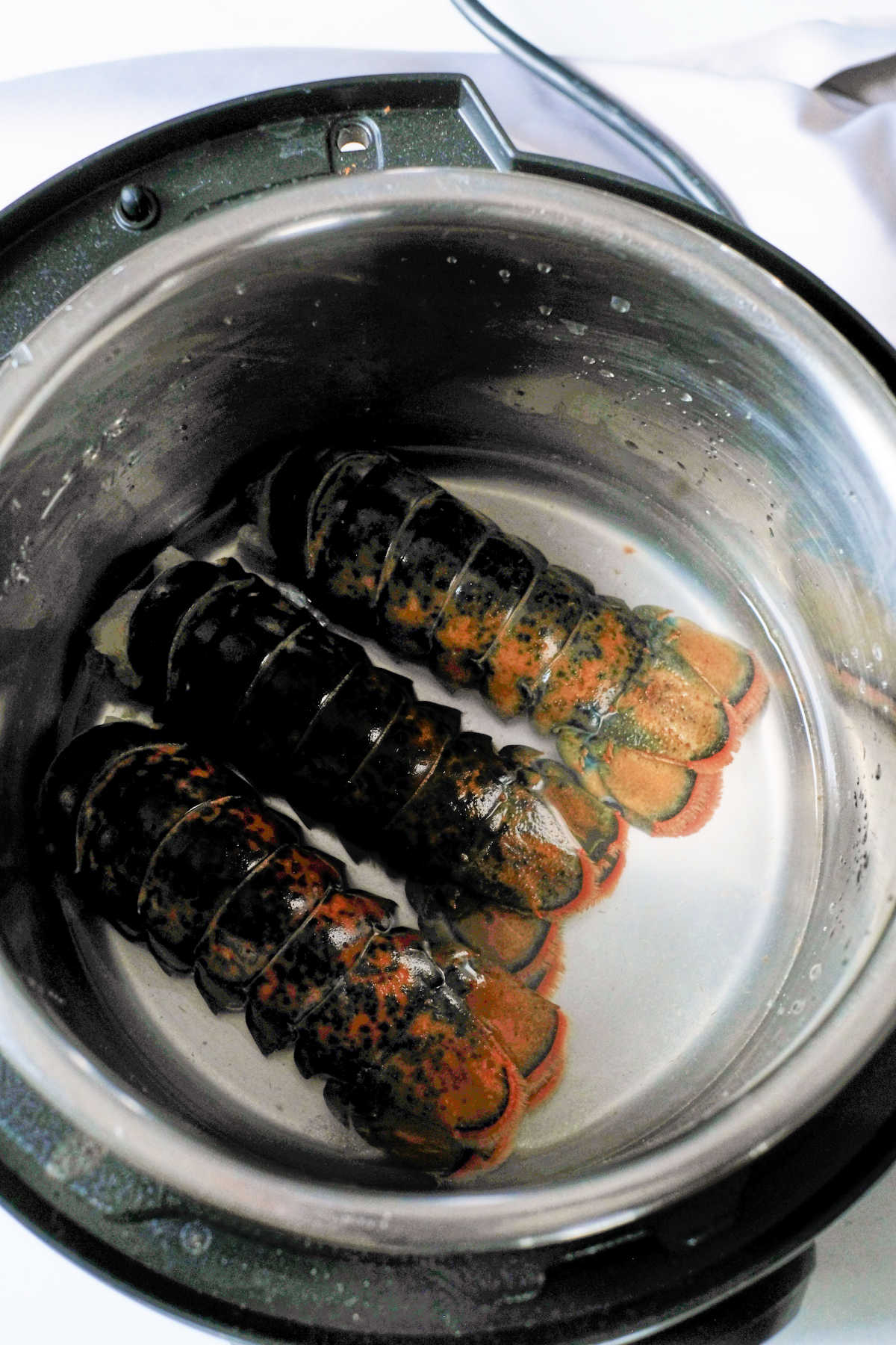 Fresh or Frozen Instant Pot Lobster Tail Ninja Foodi
