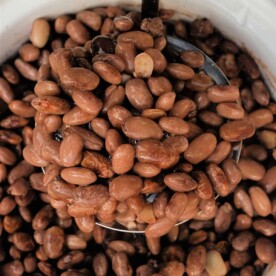 A ladle scoops cooked pinto beans from a white bowl, showcasing a delicious result of the perfect pinto beans in crockpot recipe.