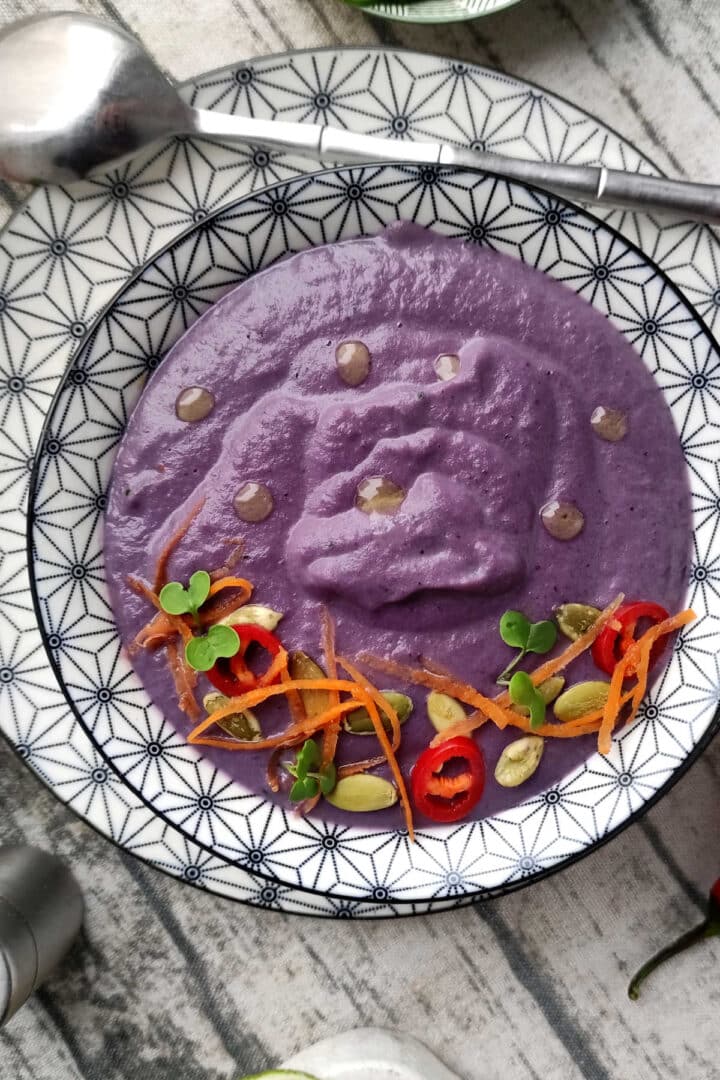 How to Make Pureed Soup Pureed Vegetable Soup Recipe Ideas