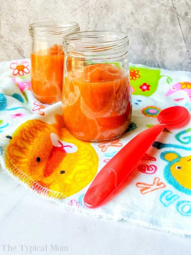 How to Make Pureed Soup Pureed Vegetable Soup Recipe Ideas