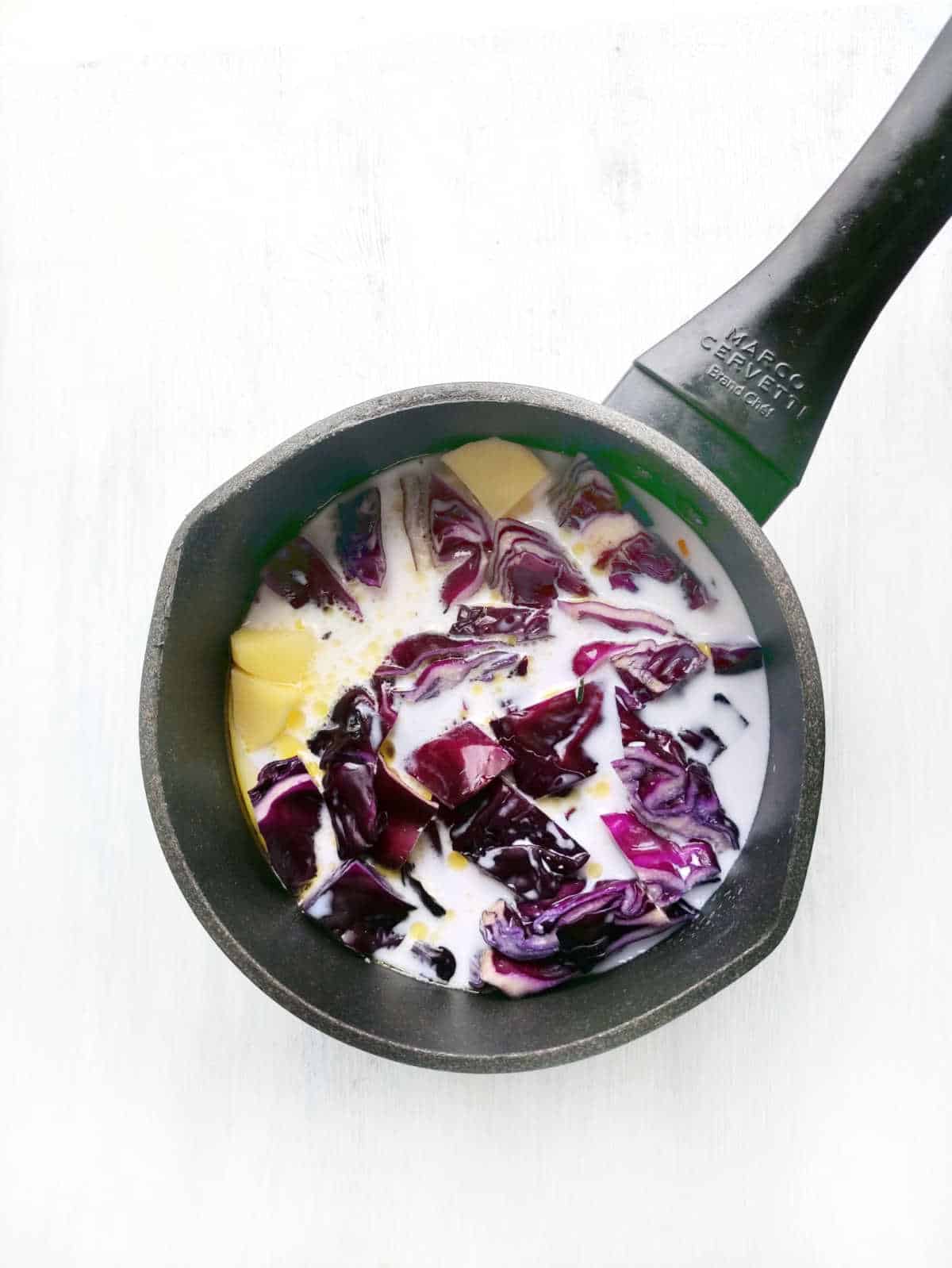 How to Make Pureed Soup Pureed Vegetable Soup Recipe Ideas