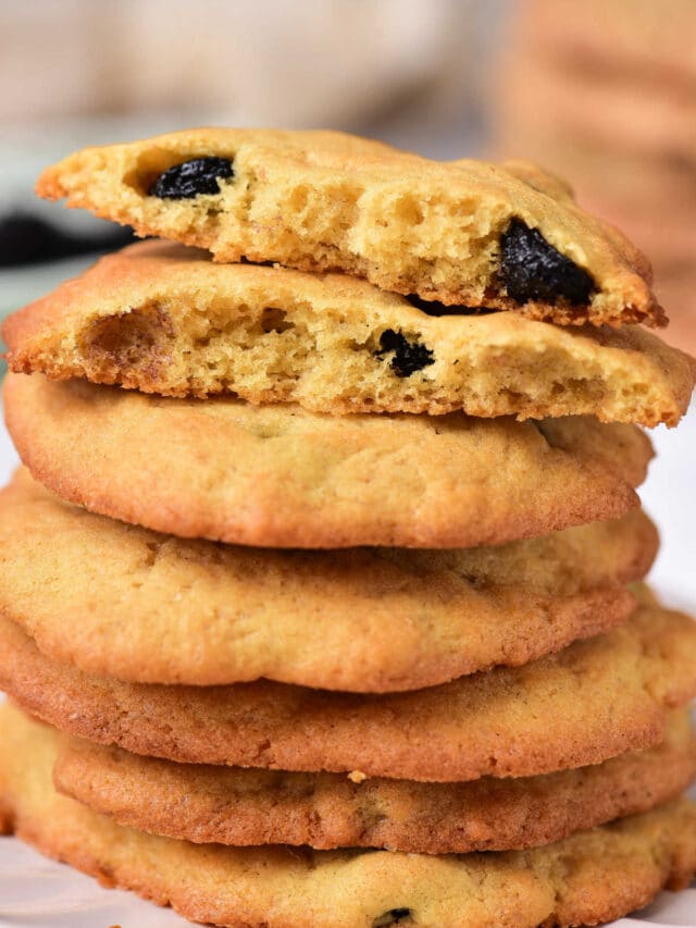 Dried Blueberry Cookies · The Typical Mom