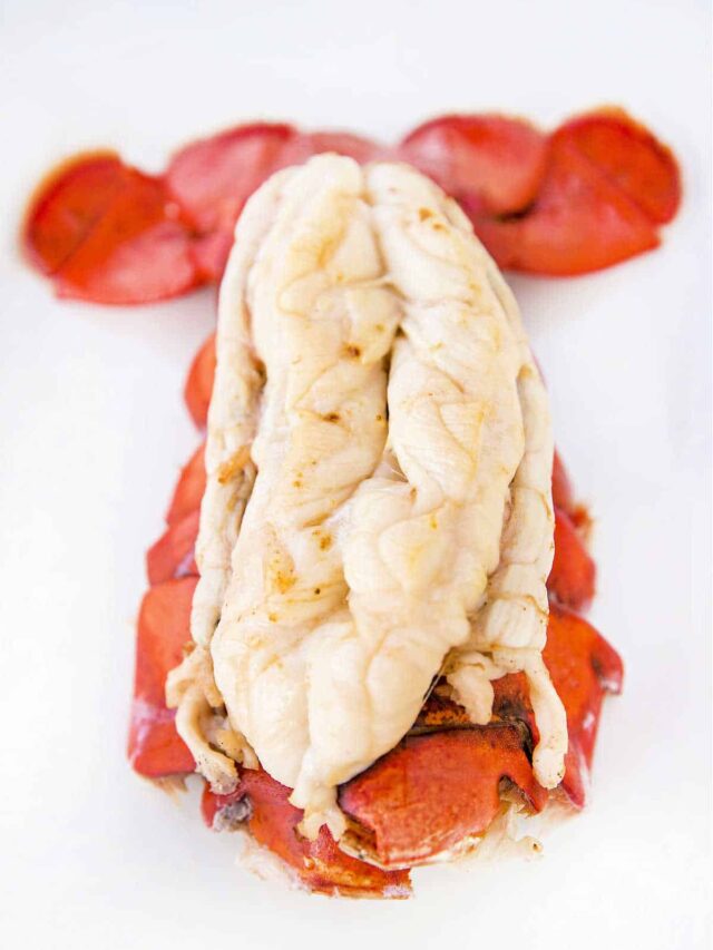 Lobster Tail in Ninja Foodi Pressure Cooker · The Typical Mom