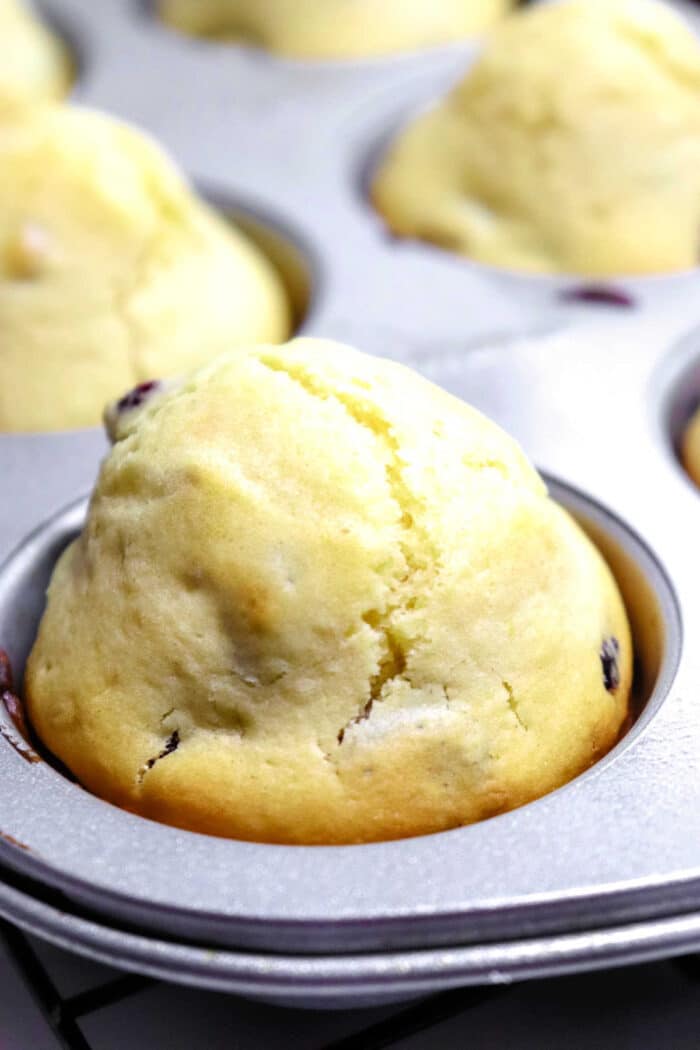 healthy cranberry muffins