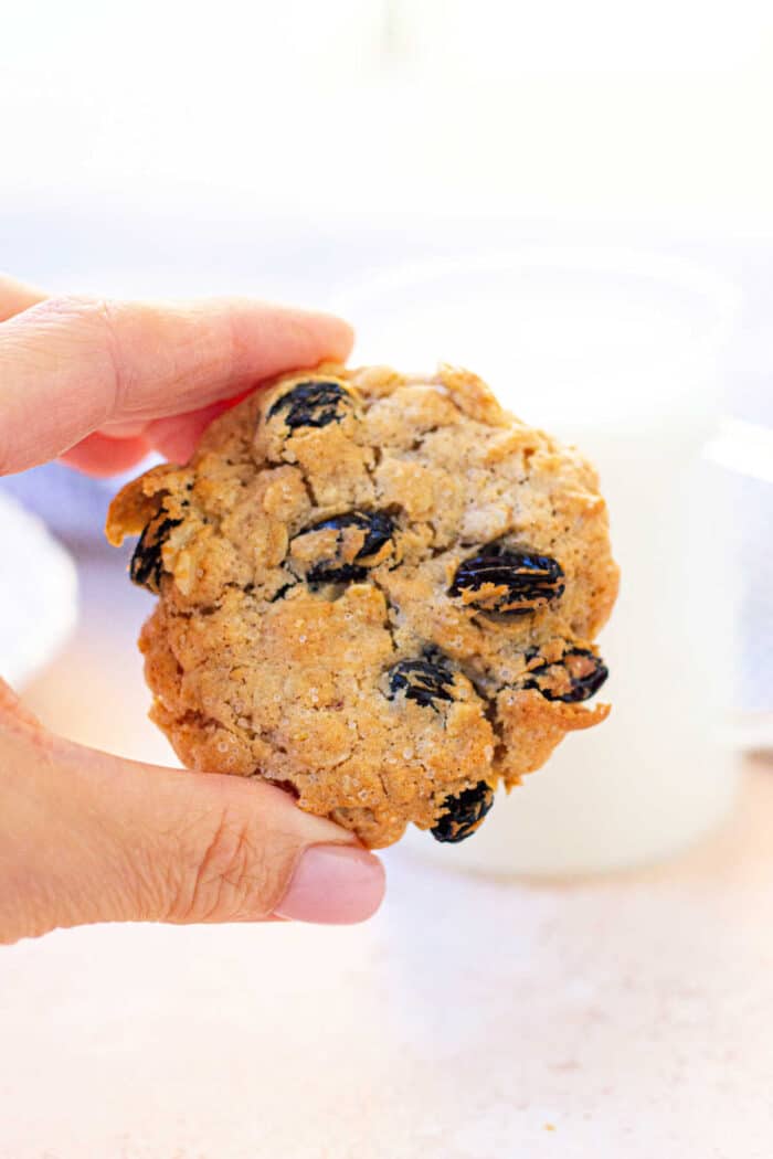 Air Fryer Oatmeal Cookies