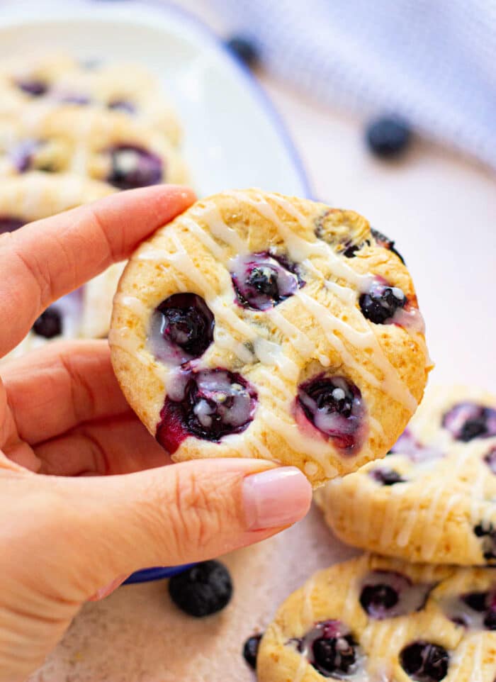 Blueberry Biscuits