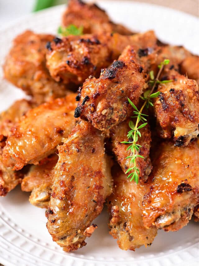 The BEST Ninja Foodi Recipes for Your Air Fryer and Pressure Cooker