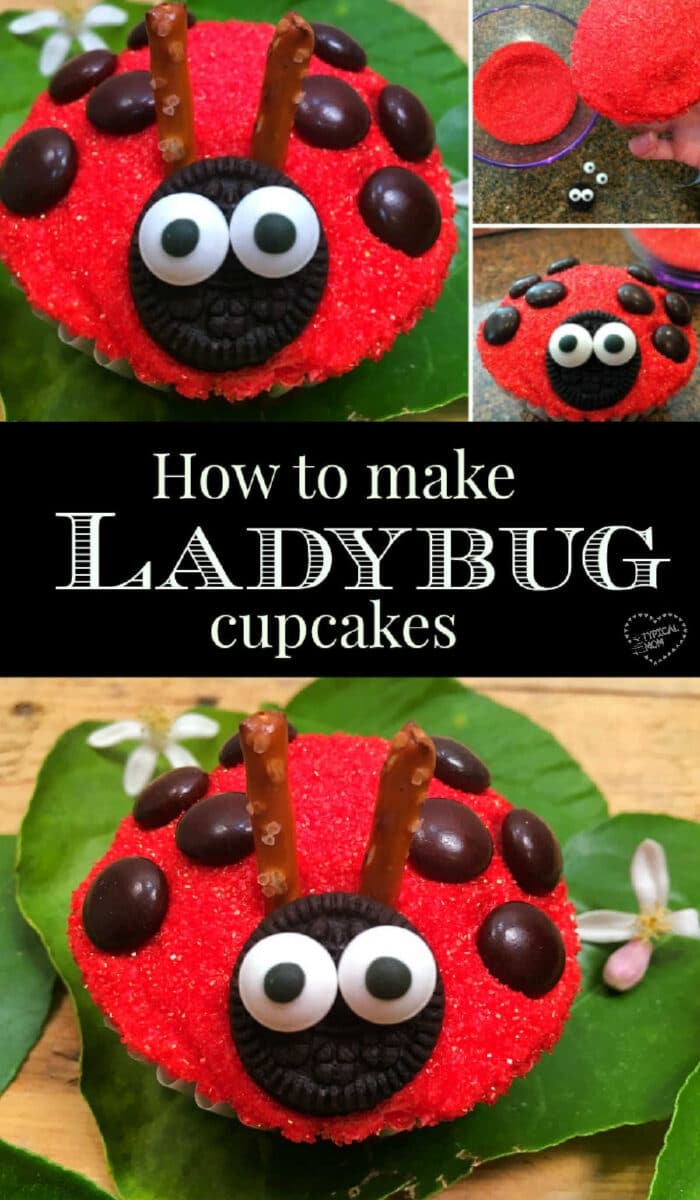 Ladybug cupcake decorated with red sprinkles, candy eyes, chocolate spots, and pretzel antennas rests on green leaves.