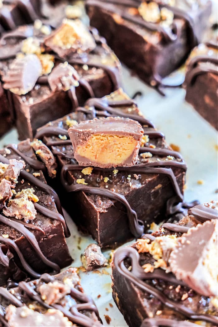 Close-up of Peanut Butter Chocolate Fudge squares topped with a drizzle of chocolate and pieces of peanut butter cups. The fudge pieces are arranged on a tray, displaying their rich, chocolatey texture and neatly cut edges. Crushed candy garnishes some of the squares.