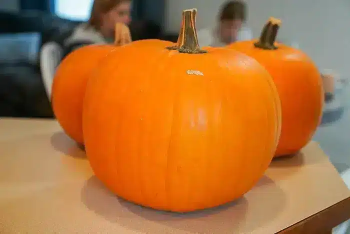 Three pumpkins are placed on a light-colored surface. Two people are blurred in the background, but the focus remains on the pumpkins. The medium-sized pumpkins, with their bright orange hue and short green-brown stems, look perfect for roasting air fryer pumpkin seeds.