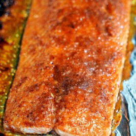 Salmon Toaster Oven