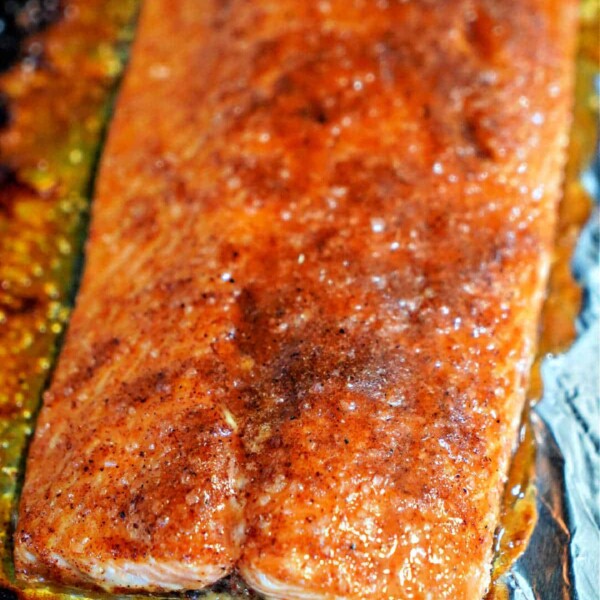 Salmon Toaster Oven