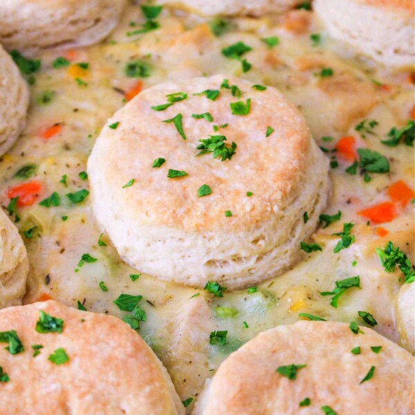 Fluffy biscuits rest atop a creamy turkey pot pie filling, accented with fresh parsley.