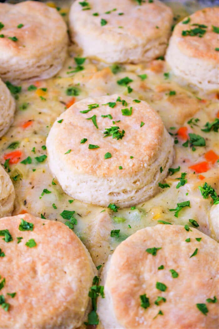 Turkey Pot Pie with Biscuits