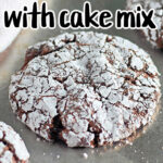 A close-up of chocolate crinkle cookies covered in powdered sugar on a metal baking sheet. The text "Toaster Oven Cookies with Cake Mix" is displayed above the cookies, showcasing the ease and delight of making these delectable treats.