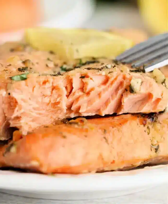 Frozen salmon instant pot recipe sale