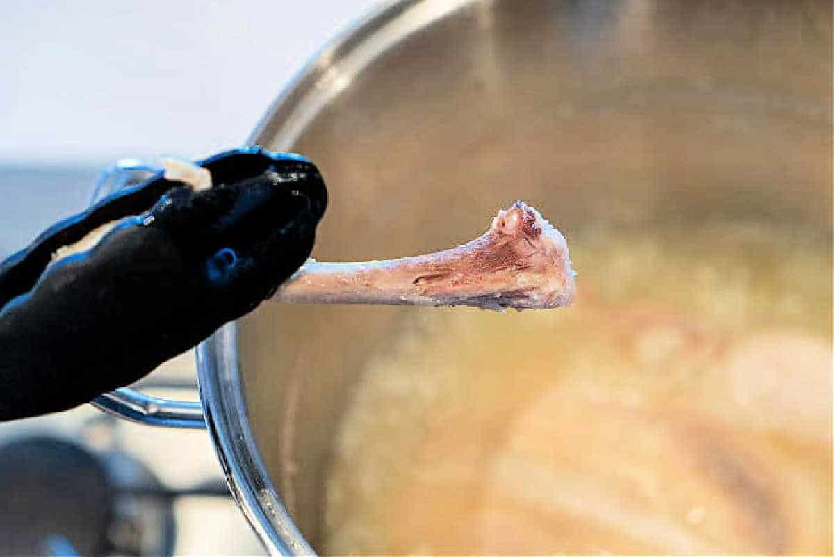 How to boil outlet chicken for dogs