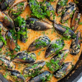 How to Cook Mussels on the Stove