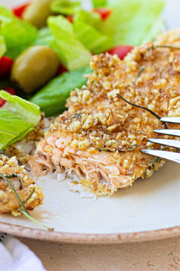 Parmesan Crusted Rainbow Trout