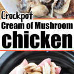 cream of mushroom chicken