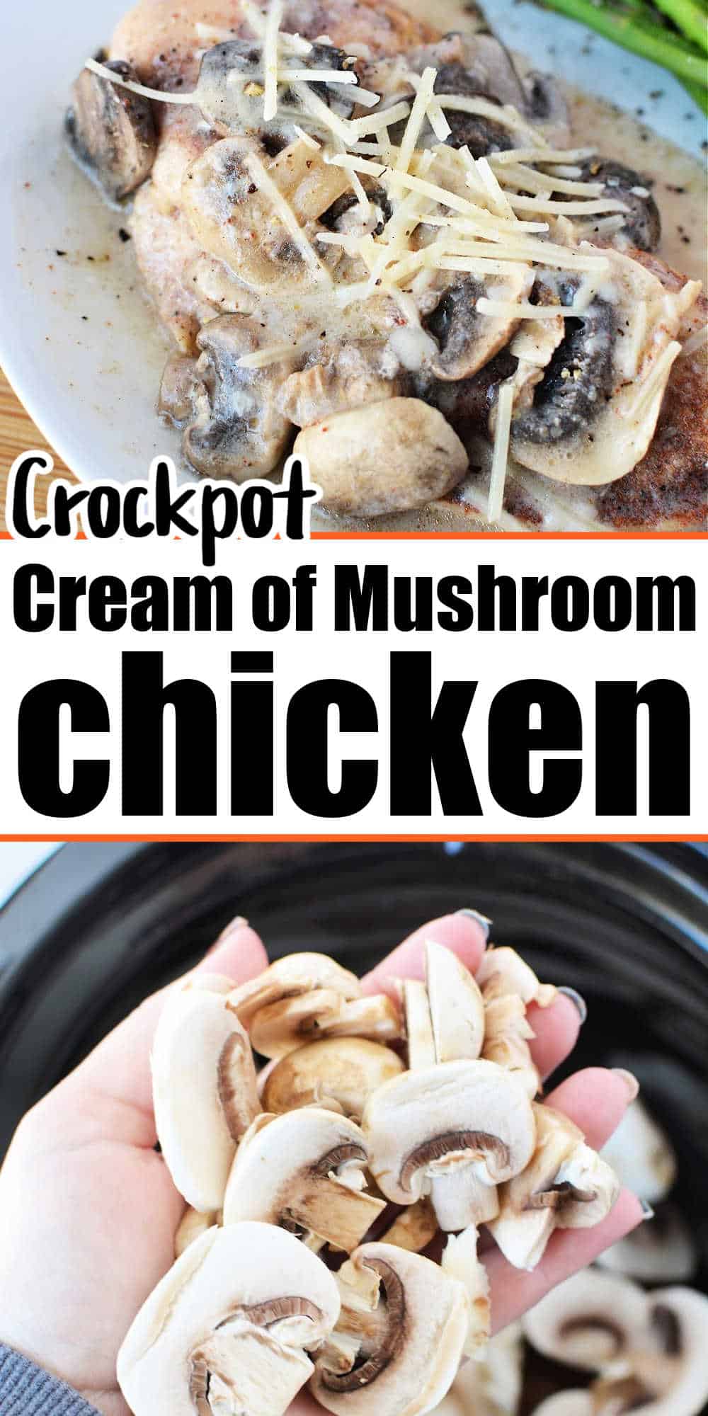 Slow Cooker Chicken and Cream of Mushroom Soup Recipe
