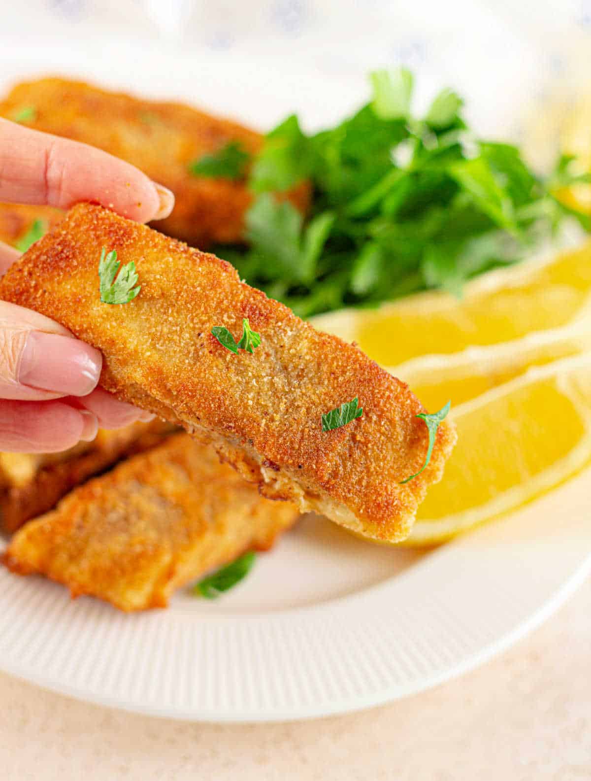 Fish Fry Louisiana Fish Fry Recipe Deep Fried Fish Fillets