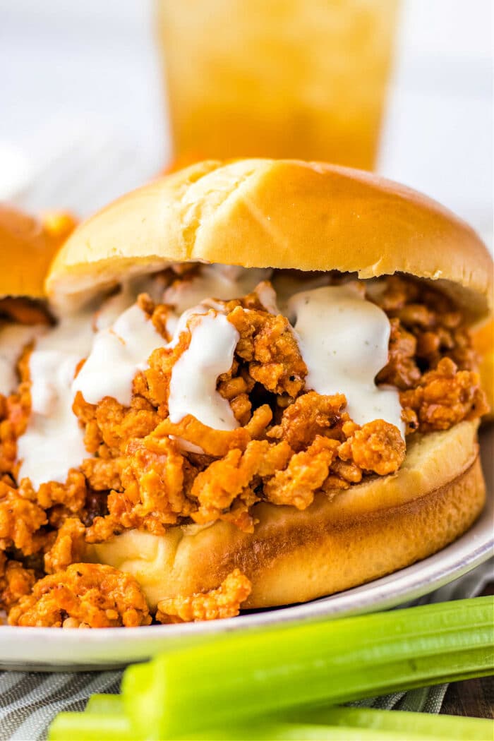 Ground Chicken Sloppy Joes