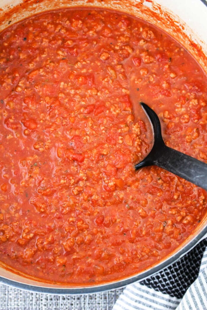 Healthy Spaghetti Sauce