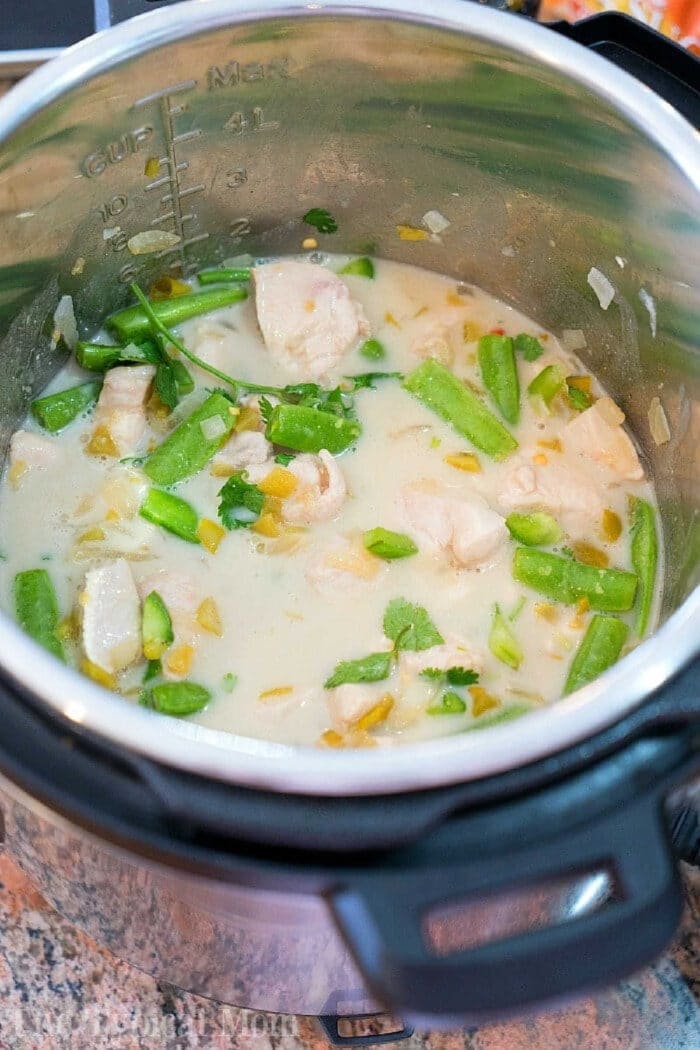 Pressure cooker coconut chicken with curry turned out amazing! A creamy Instant Pot chicken with vegetable dish served as a soup or on top of rice. Try our Thai style coconut chicken yourself and let us know what you think! #instantpot #pressurecooker #thai #indian #coconutchicken #instantpotrecipes #thetypicalmom #chicken #dairyfree #soup #curry Coconut chicken, green beans, and herbs simmer in a creamy sauce inside an open Instant Pot on a kitchen counter.
